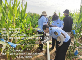 内蒙古自治区植保植检中心赴南繁基地 开展2025-2026年度产地检疫工作