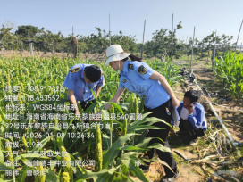 内蒙古自治区植保植检中心赴南繁基地 开展2025-2026年度产地检疫工作