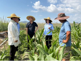 内蒙古自治区植保植检中心赴南繁基地 开展2025-2026年度产地检疫工作