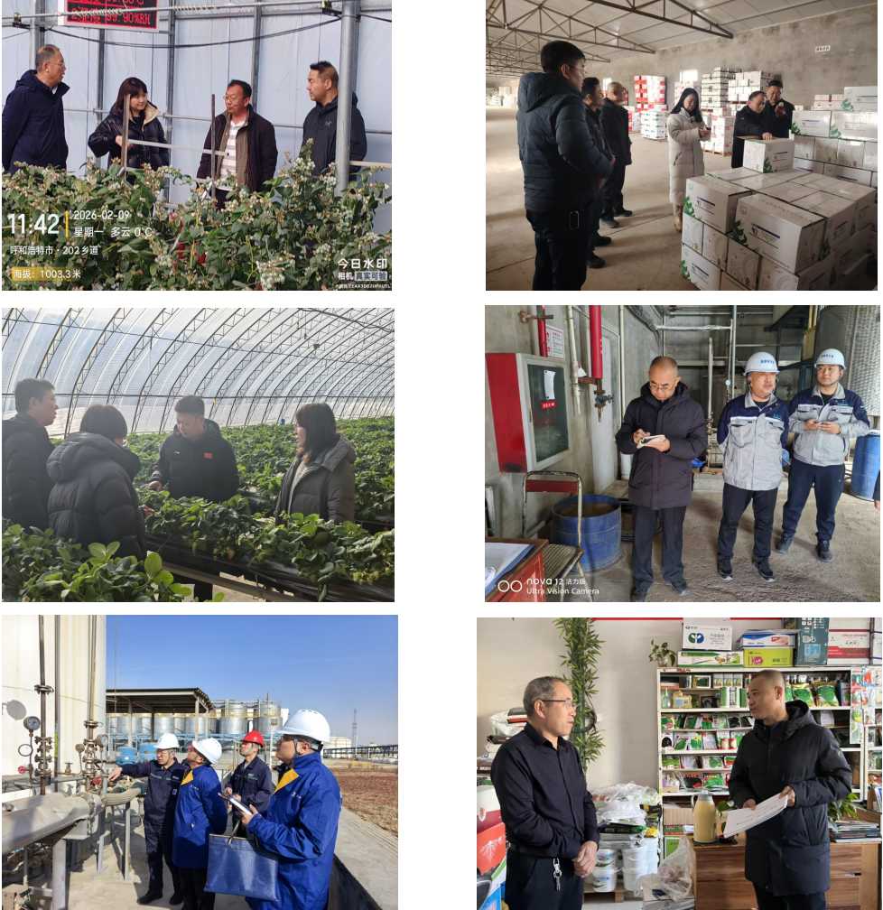 筑牢安全防线,保障行业发展——自治区农牧厅组织开展农药领域安全指导