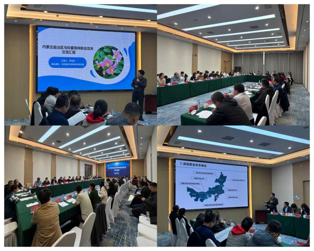 内蒙古育种联合攻关交流活动在呼和浩特市举办