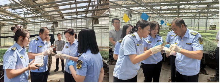 自治区植保植检中心赴包头市开展检疫性病虫害监测防控技术指导
