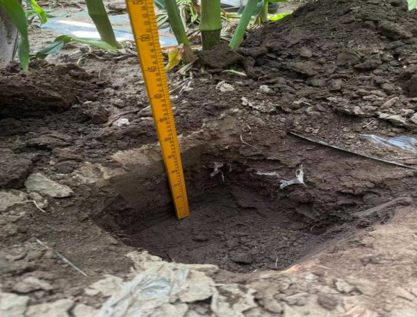 以练促干强技能 规范流程提质效——自治区补充耕地质量验收正式启动