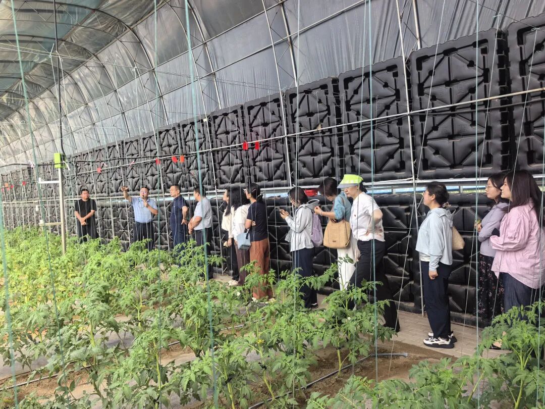 “党建引领聚合力 科技赋能兴农牧”联合主题党日活动顺利开展
