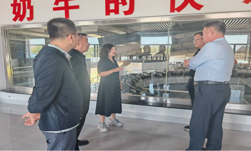 下沉一线送政策上门服务促振兴——自治区农牧厅奶业处开展政策宣讲服务