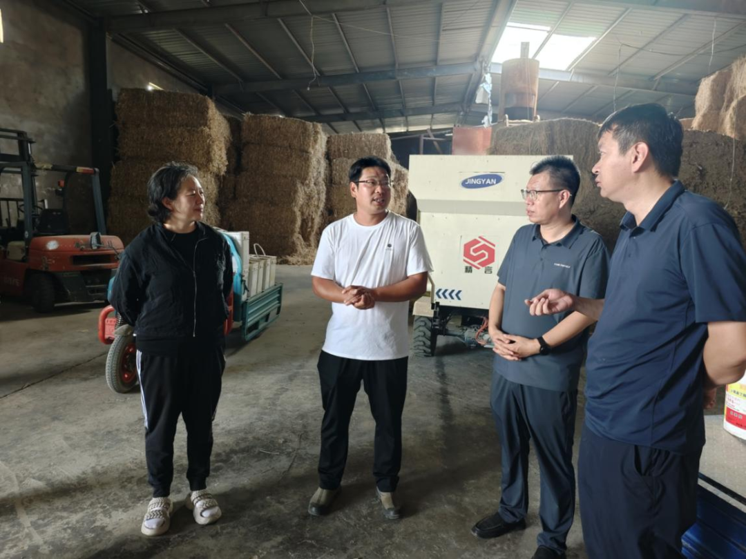 自治区农牧业技术推广中心赴巴彦淖尔市指导牧区防汛抗旱工作