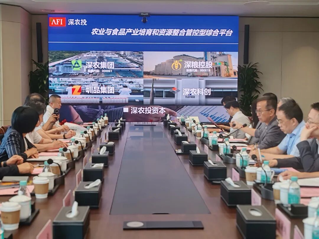 五大项目集中落地内蒙古优质牛羊肉直通大湾区再提速