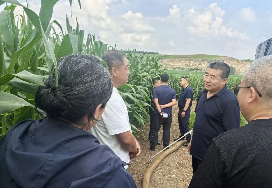 自治区农牧厅下沉一线开展呼伦贝尔农业防灾减灾技术指导奋力夺取秋粮丰收