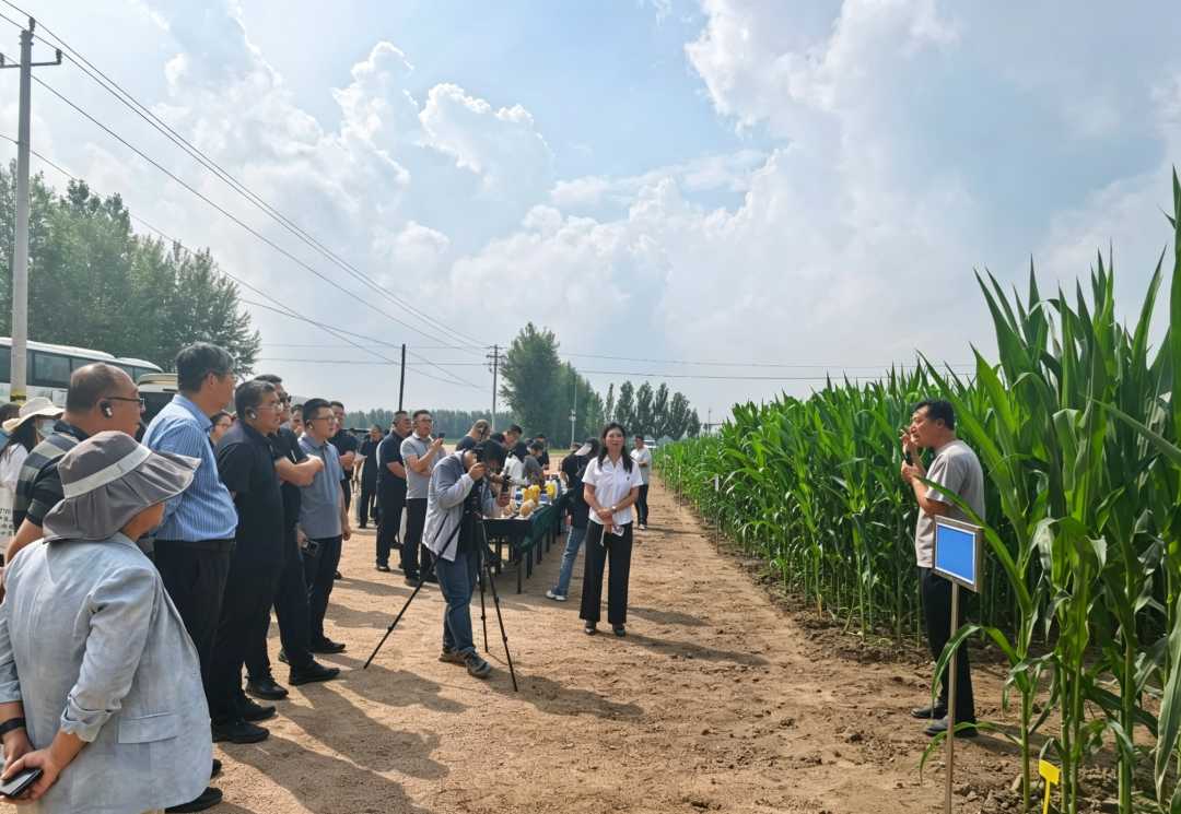 全区农业防灾减灾暨大面积单产提升政策技术培训班在呼伦贝尔扎兰屯市举办