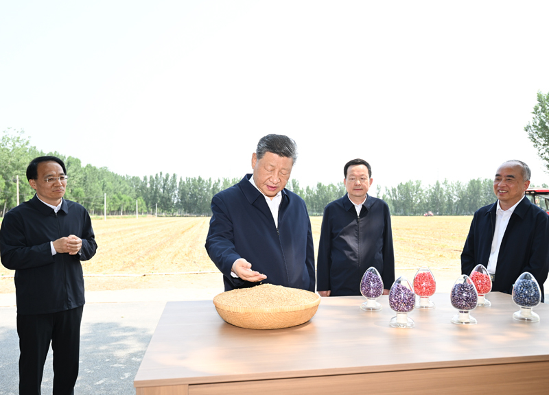 6月24日,中共中央总书记、国家主席、中央军委主席习近平在山东省德州市考察。这是习近平在陵城区边临镇东于架村了解当地“三夏”生产情况。新华社记者 燕雁 摄