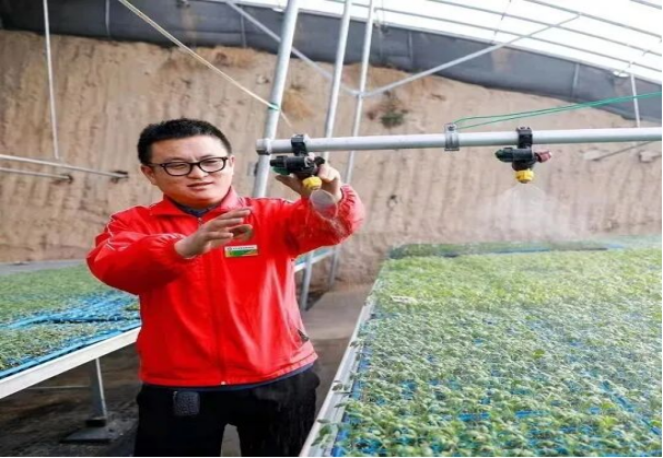 新农人曹鹏深耕种苗产业 科技耕耘点亮乡村振兴路