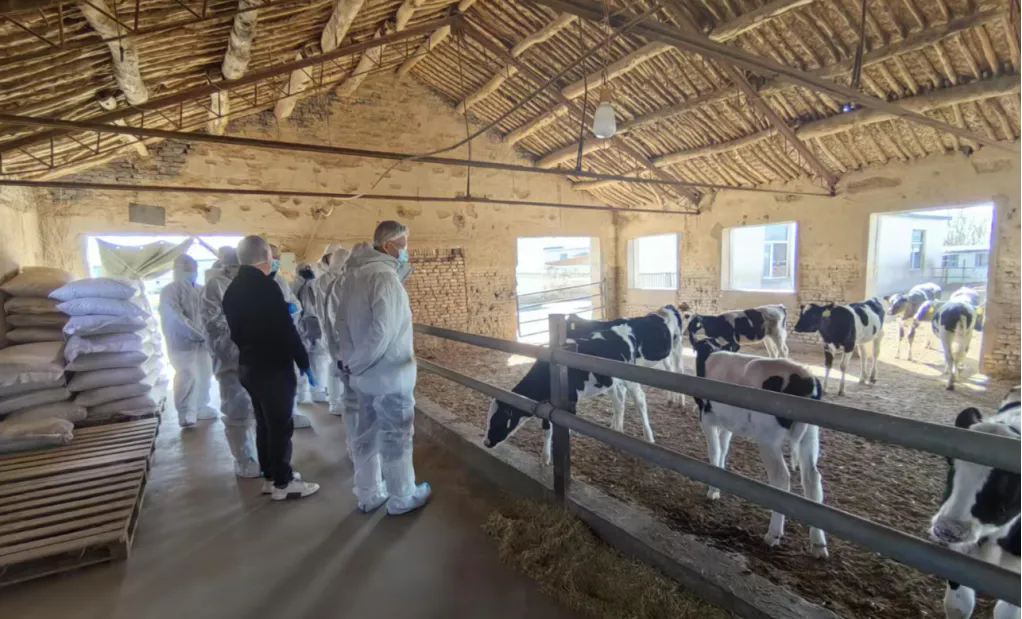 “奶牛养殖技术服务”活动