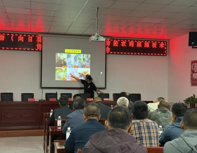 协同推广稳增效