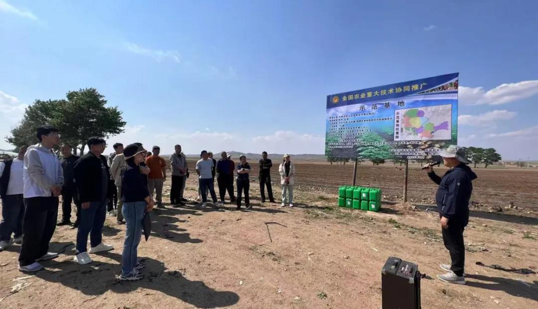 协同推广稳增效