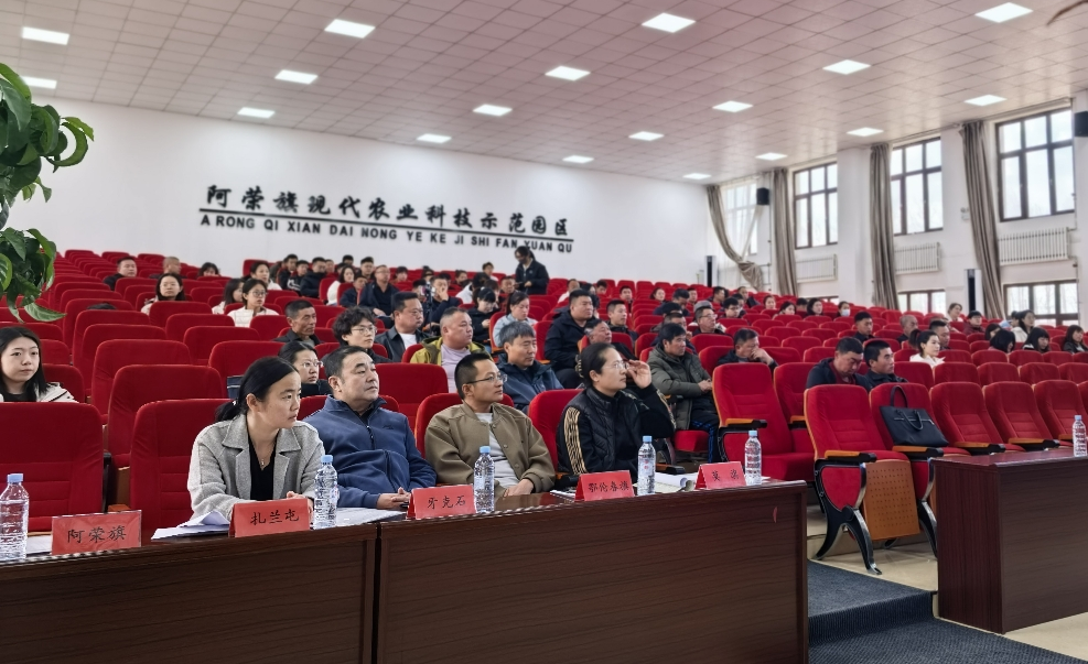 “党建引领强业务,植保护航促高产”