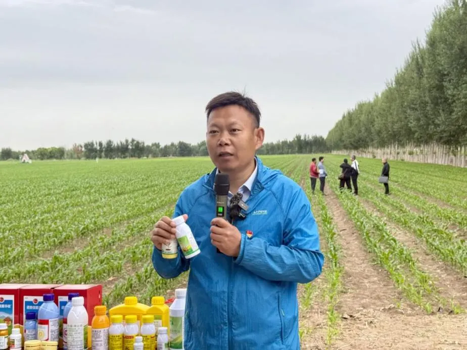 以知促行,对标先进拓思路