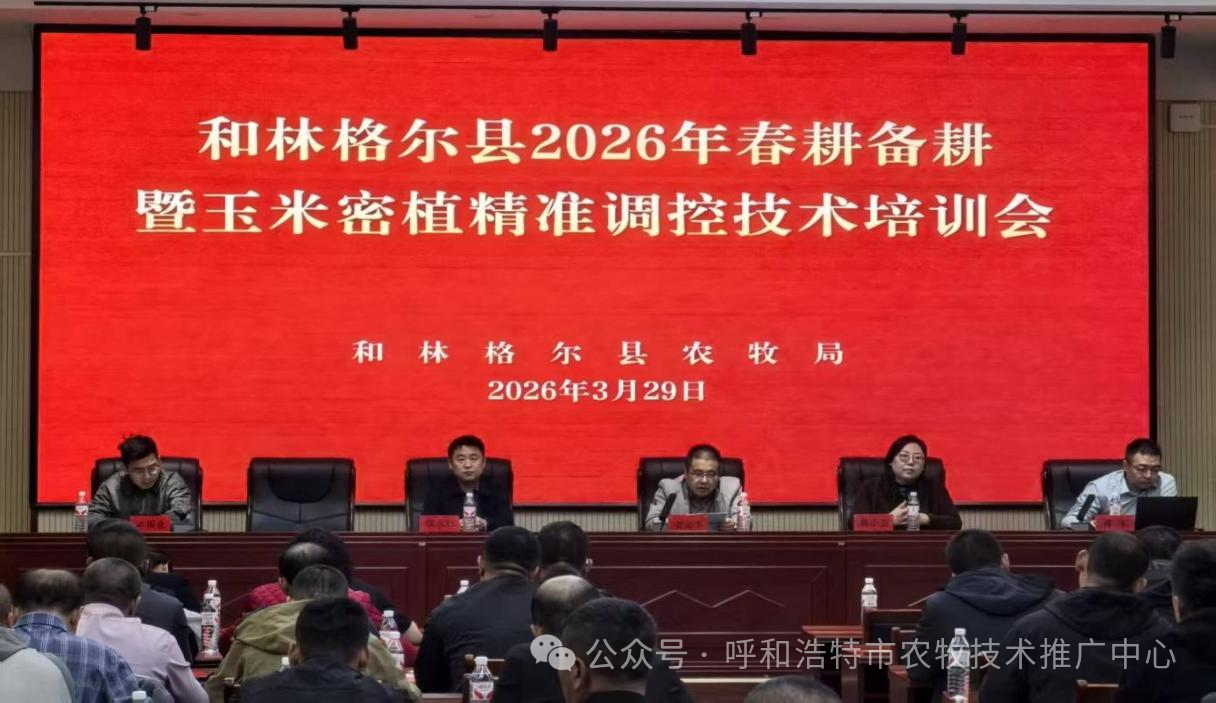 聚力单产提升 科技赋能强基——呼和浩特市全域开展玉米密植精准调控培训 精技落地赋能春播