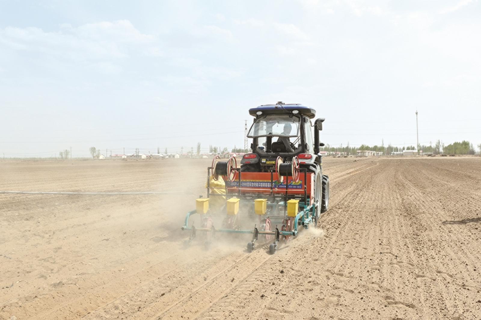 推进全域玉米吨粮田建设 巴彦淖尔市发布26个玉米优良品种及4项玉米种植技术