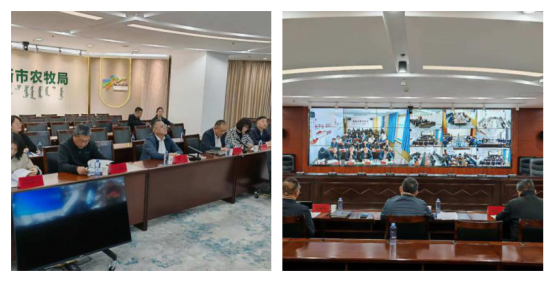 鄂尔多斯市农牧局组织召开全市高标准农田突出问题整治工作推进暨专题政策培训视频会议