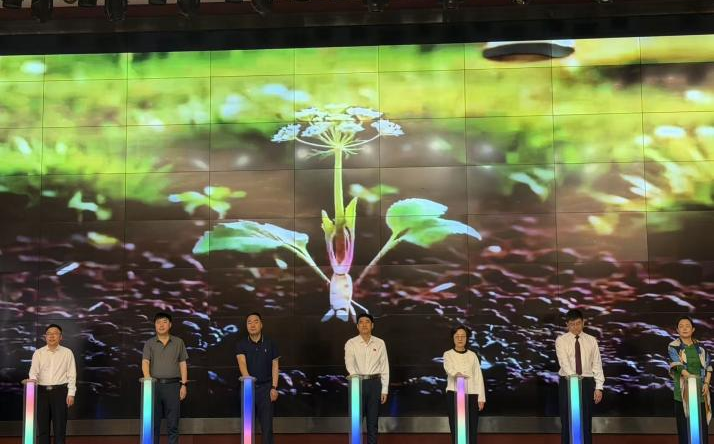 中草药栽培与产销产教融合共同体大会召开