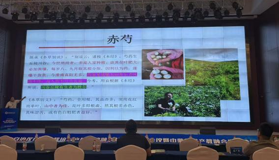 主题报告环节