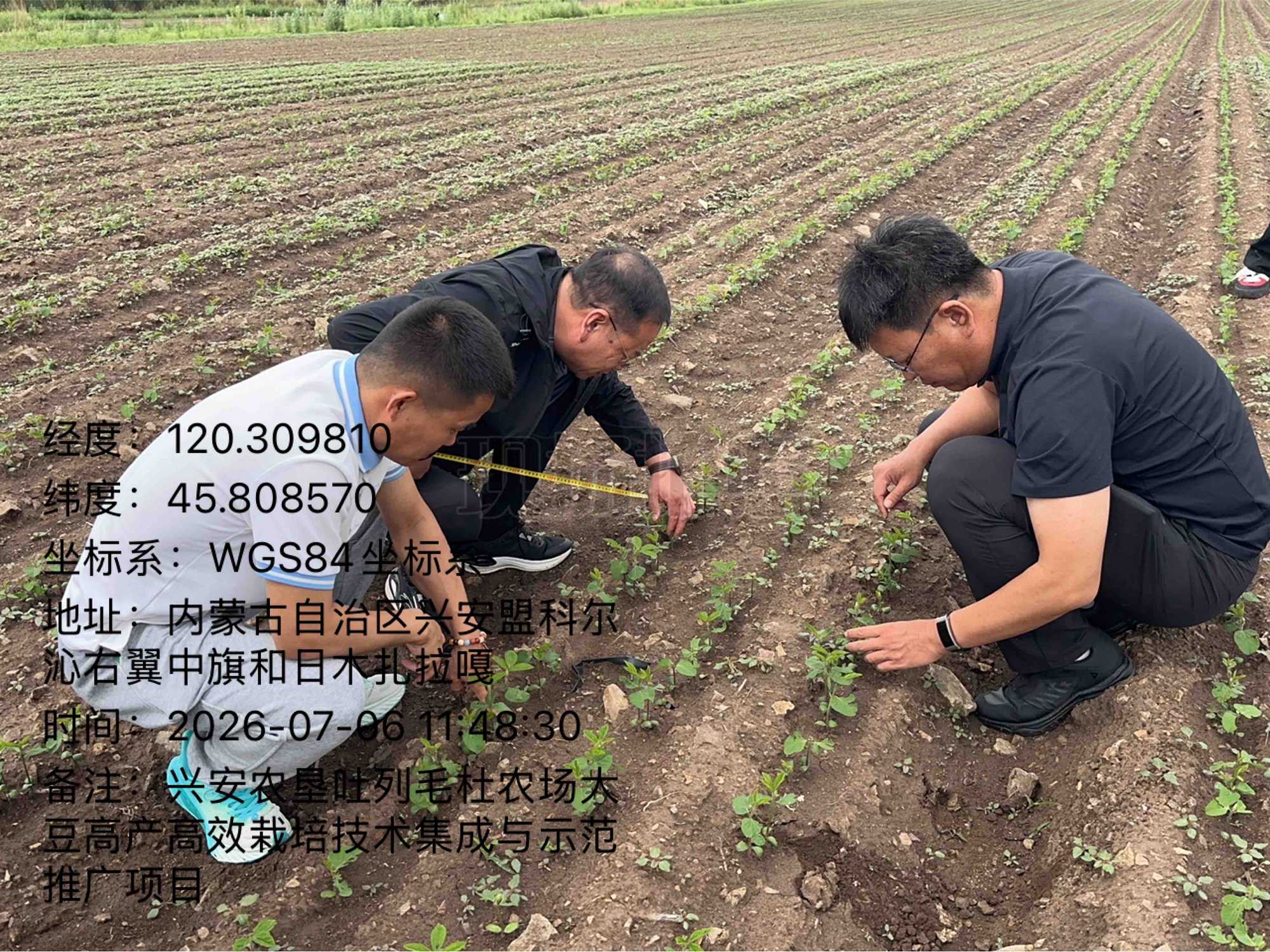 校地农技协同 科技护航丰产——内蒙古民族大学教授专家团队到兴安盟开展大豆苗期专项技术指导