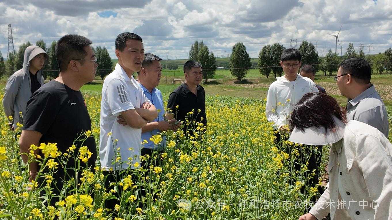 田间问诊解难题 科技护航促增产——华中农业大学专家团队赴呼和浩特市开展技术交流指导