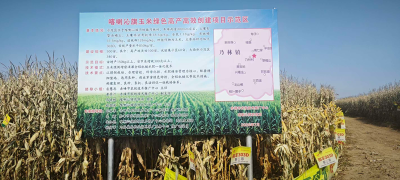 喀喇沁旗玉米核心示范片