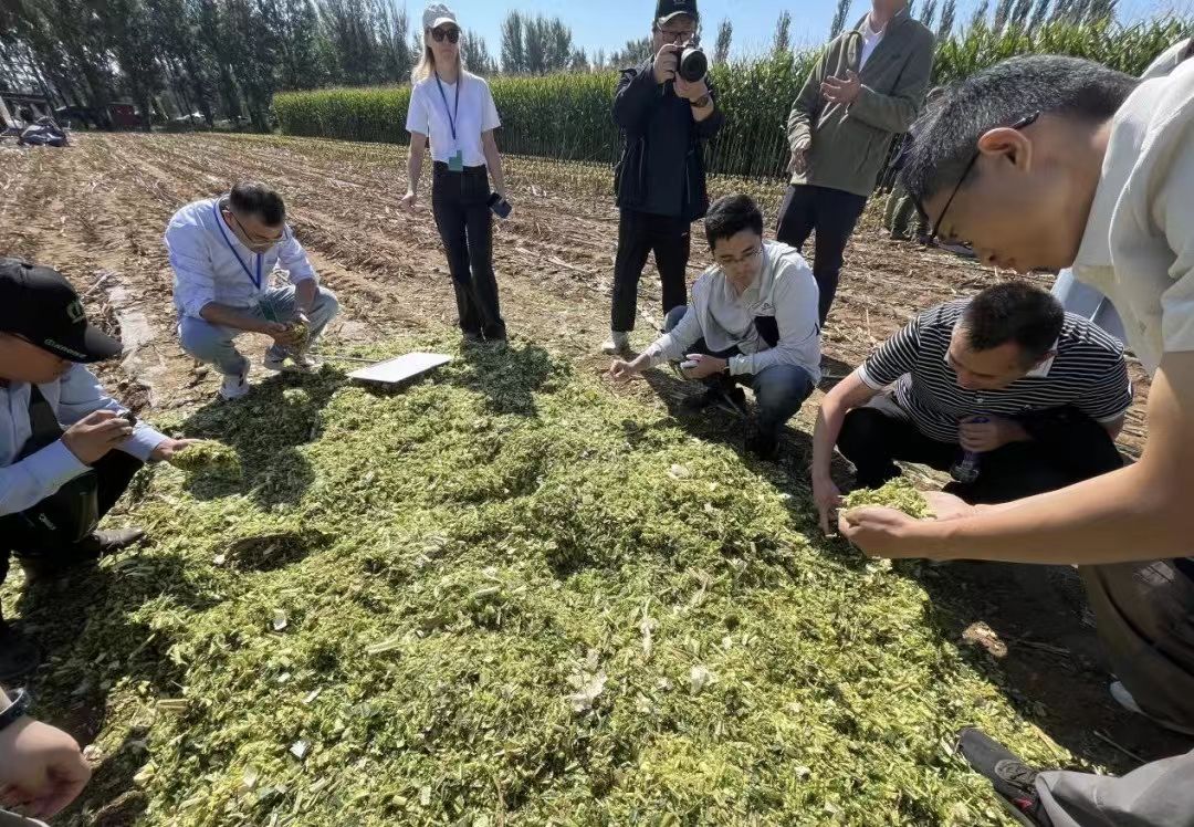 奶业产业技术体系呼和浩特综合试验站扎实推进2026年青贮制备与技术培训工作