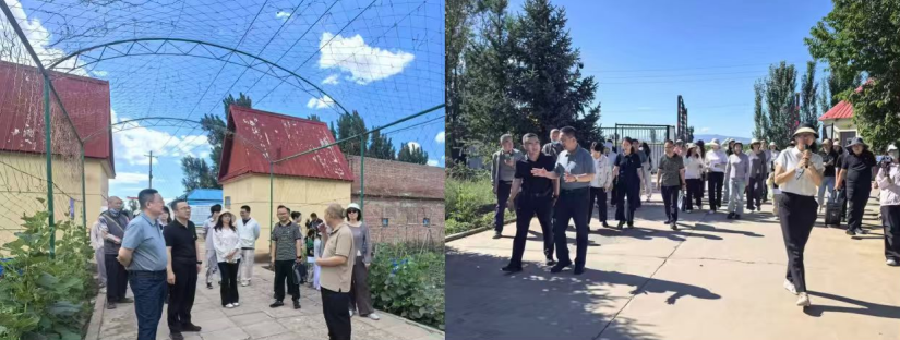 党建联建搭平台观摩学习拓思路——自治区、呼和浩特市两级农牧业技术推广中心开展联合主题党日活动
